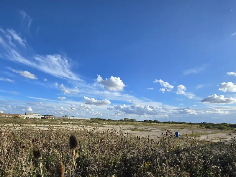 Ground-level view across the site