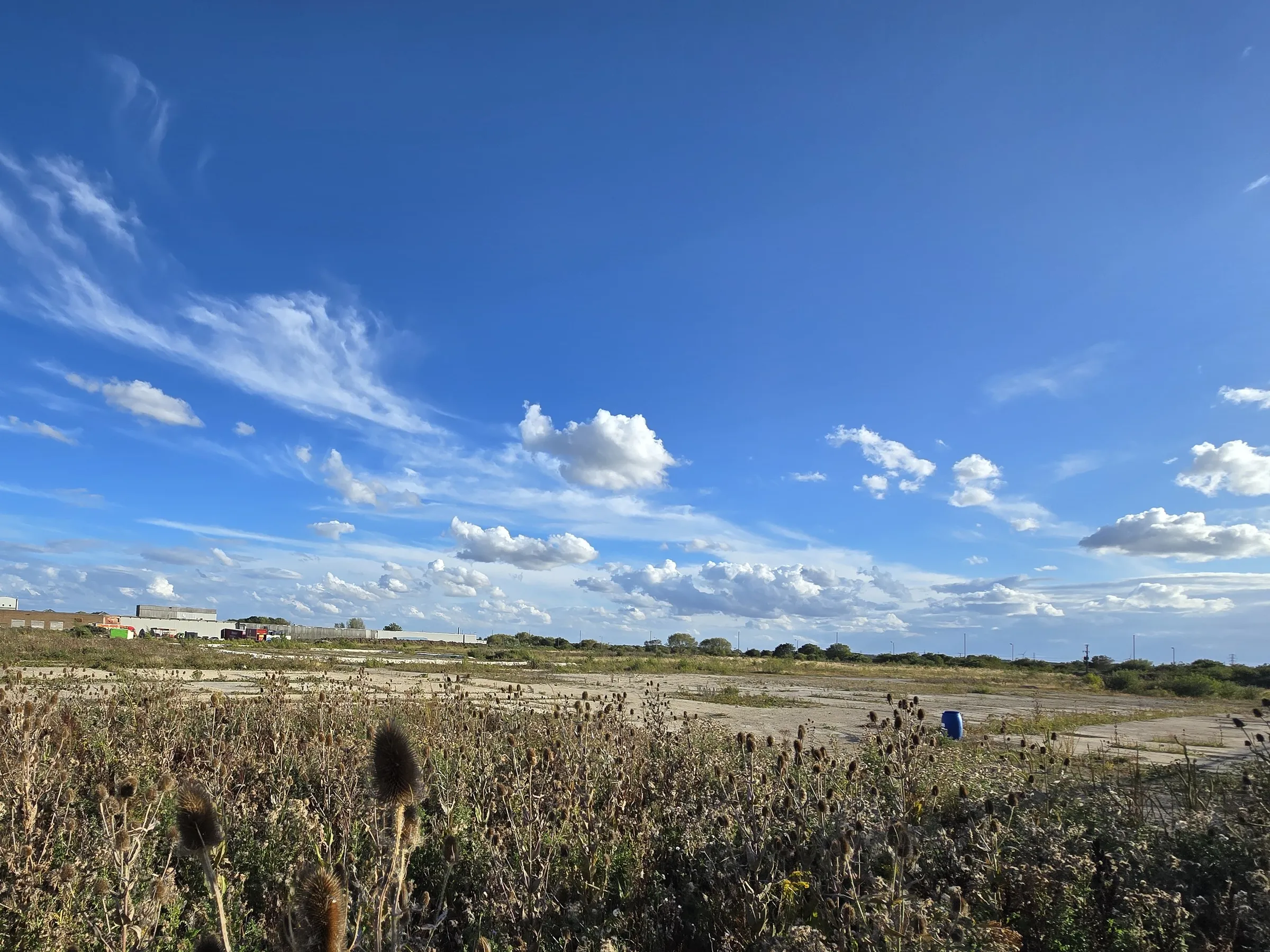 Panoramic view of the 5.75-acre Grimsby site